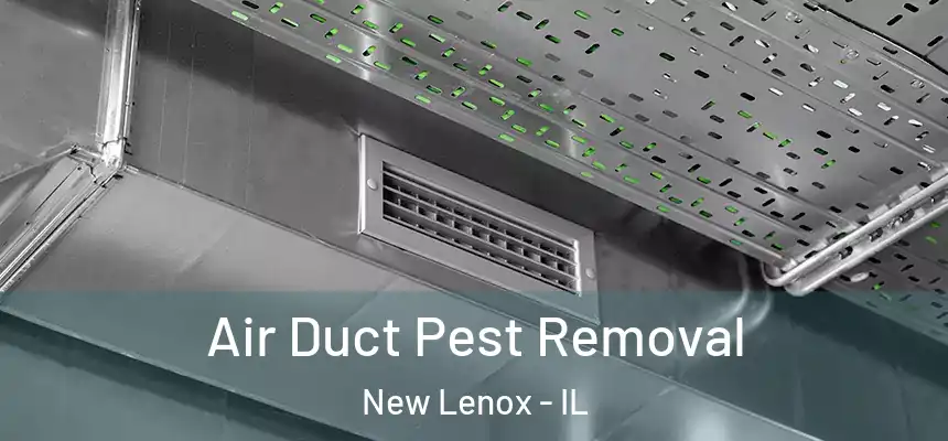 Air Duct Pest Removal New Lenox - IL