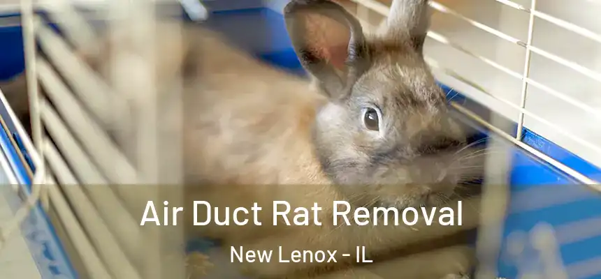  Air Duct Rat Removal New Lenox - IL