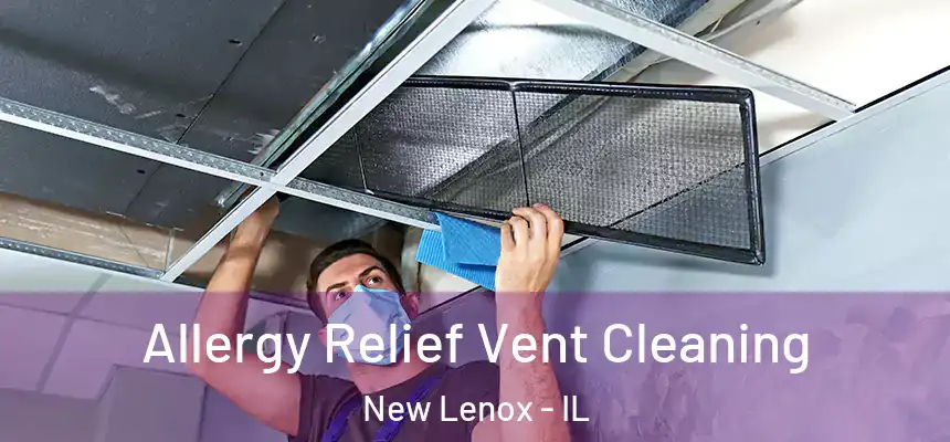 Allergy Relief Vent Cleaning New Lenox - IL