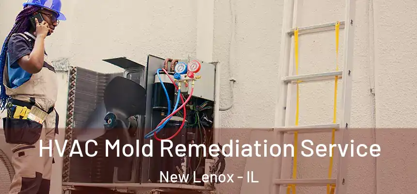 HVAC Mold Remediation Service New Lenox - IL