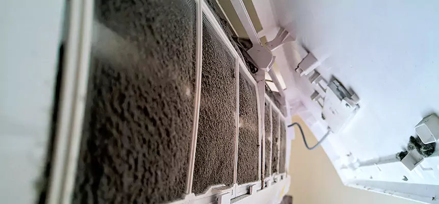 Preventive Air Duct Bacteria Removal in New Lenox