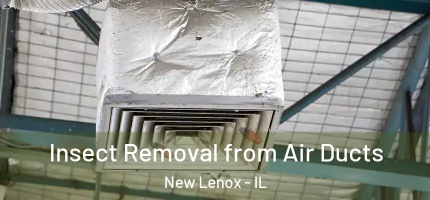 Insect Removal from Air Ducts New Lenox - IL