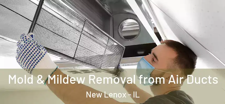  Mold & Mildew Removal from Air Ducts New Lenox - IL