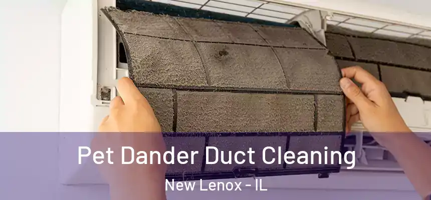  Pet Dander Duct Cleaning New Lenox - IL
