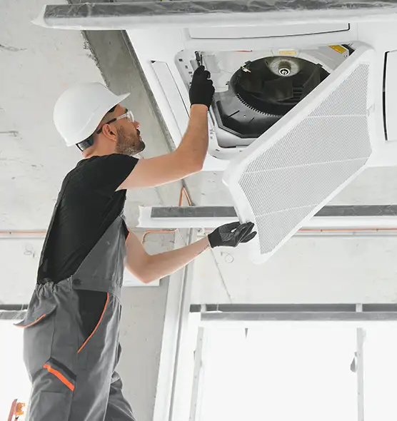 About Air Duct Rodent Removal in New Lenox, IL