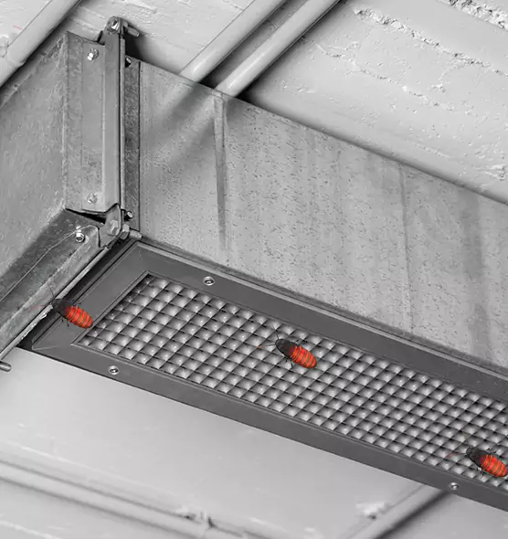 Affordable Insect Removal from Air Ducts in New Lenox, IL