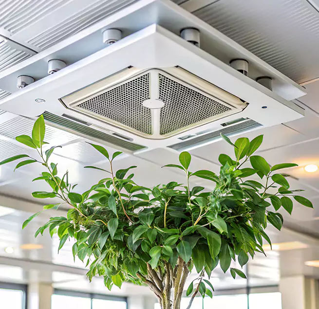 Why Homeowners & Businesses Trust Us in New Lenox, IL