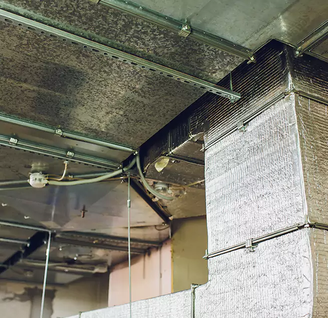 Why Homeowners & Businesses Trust Us in New Lenox, IL?